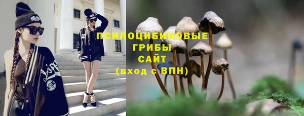 2c-b Лиски