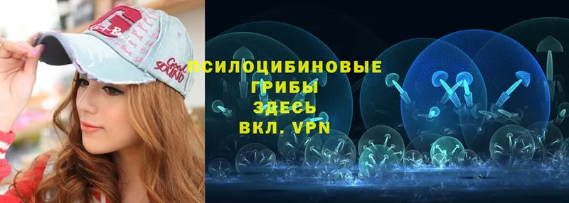 Псилоцибиновые грибы Psilocybe  где можно купить наркотик  hydra вход  Николаевск-на-Амуре 