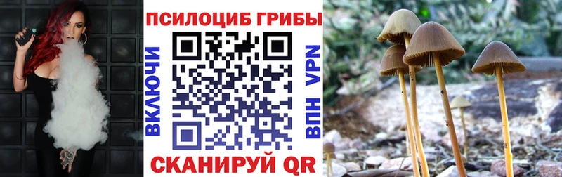 нарко площадка клад  Николаевск-на-Амуре  Галлюциногенные грибы мухоморы 