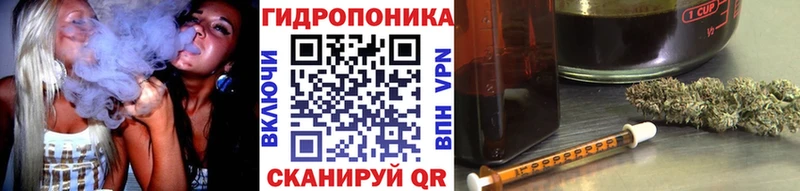 Конопля гибрид  где найти   Николаевск-на-Амуре 